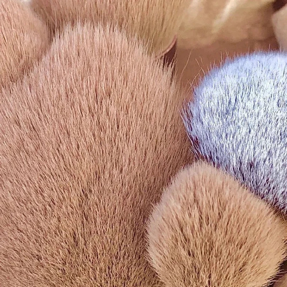 BeautyBliss Brush Set